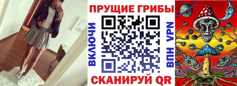 Псилоцибиновые грибы Cubensis  Кириши 
